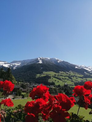 Ausblick