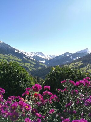 Ausblick