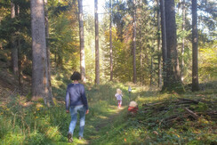 Haus Soboll_Alpbachtal_Kramsach_Waldspaziergang