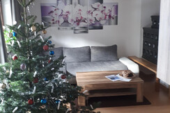 Wohnzimmer mit Weihnachtsbaum