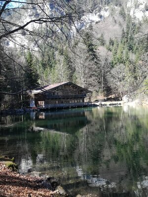 Ausflugsziel zu Fuß - ,Berglsteiner See' | © Haflingerhof