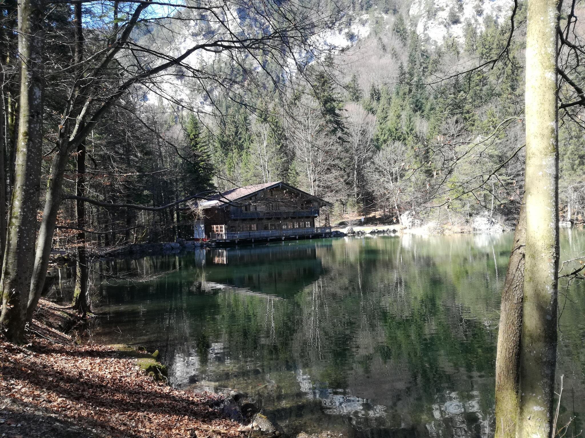 Ausflugsziel zu Fuß - ,Berglsteiner See' | © Haflingerhof