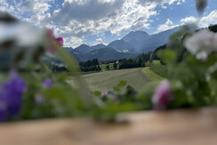 Aussicht Sonnend