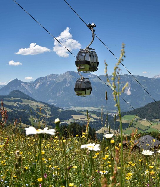Reitherkogelbahn | © Alpbachtal Tourismus