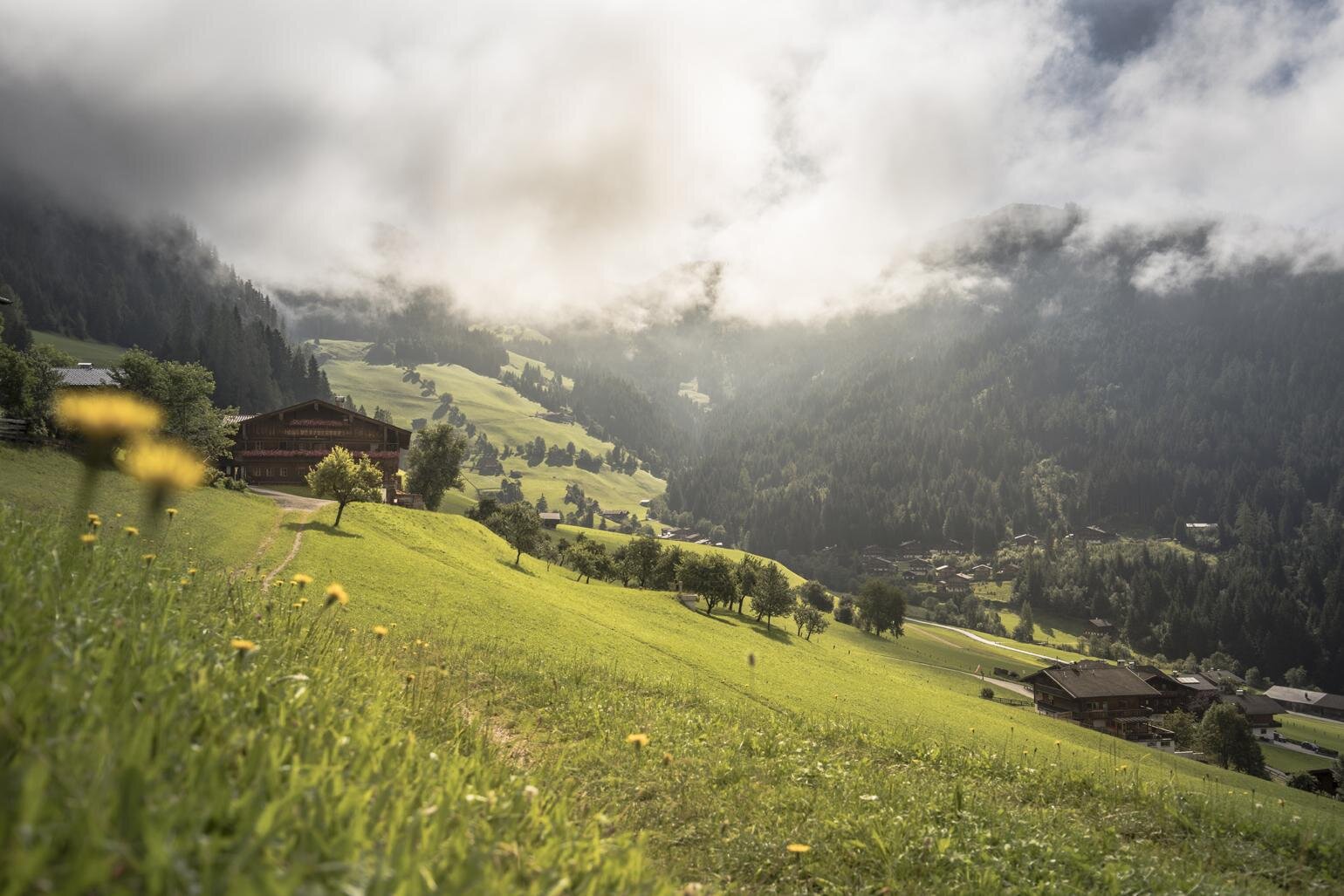 Heimatweg Alpbach Sautner (1)