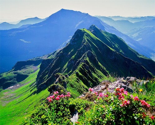 AlpbachtalTourismus_874108