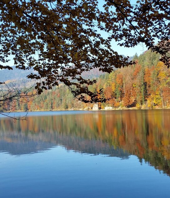 Herbststimmung am Reintaler See | © Oberlechner