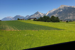 App. Tirol Ausblick Sommer