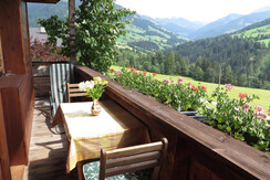 Ferienwohnung 1 Balkon