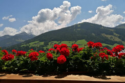Aussicht vom Balkon auf das Wiedersbergerhorn
