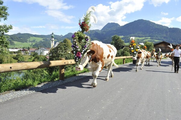 Almabtrieb Reith im Alpbachtal Tirol (52)