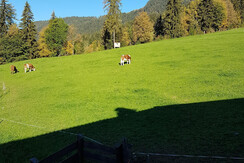 Doppelzimmer mit Balkon