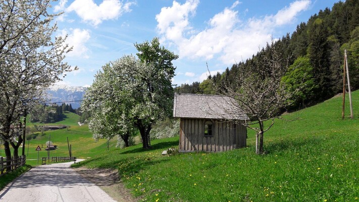 Hausbergerhof_Alpbachtal_Kapelle Zimmermoos | © ausbergerhof / Gästehaus Ainberger