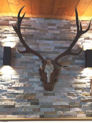 Frühstücksraum Jagdhof | © Hotel Jagdhof