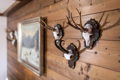 Details zur Einrichtung