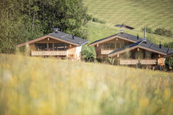 hygnachalets_alpbachtal_waldchalet