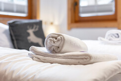 NSTE-Alpbach44-Alpbach-Kastl2-23