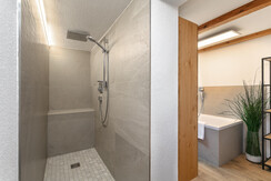 NSTE-Alpbach44-Alpbach-Kastl1-8