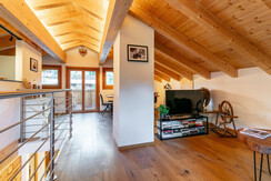 NSTE-Alpbach44-Alpbach-Kastl1-17