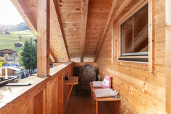 NSTE-Alpbach44-Alpbach-ext-28