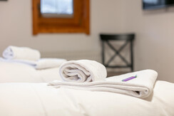 NSTE-Alpbach44-Alpbach-Kastl1-13