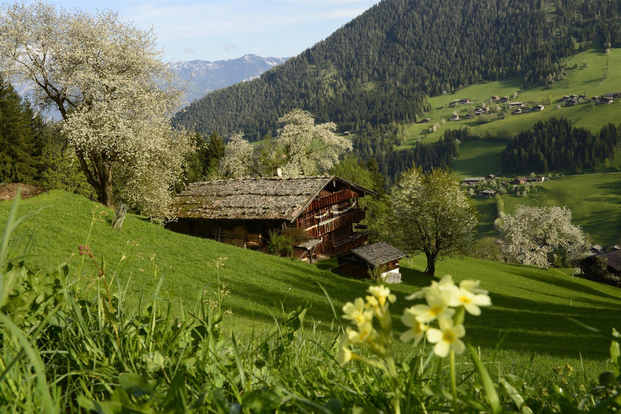 Oberriedl Bauernhof | © Alpbachtal Tourismus / Bernhard Berger