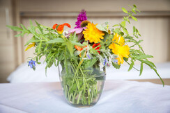 Landhaus-Greil-Appartements_Reith-im-Alpbachtal_Ti