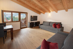 natural__deluxe_apartment_alpbach_tv