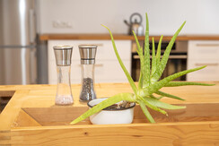 Photoegger_Apartment42