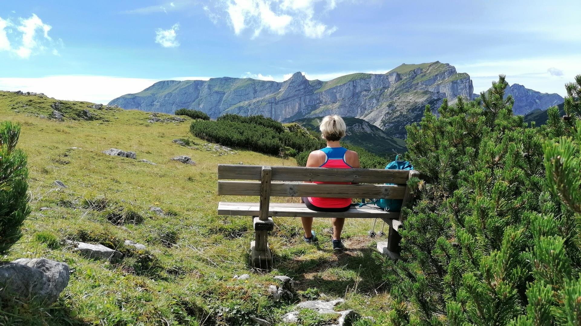 Pension Alpina Sommer