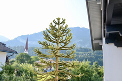 Ferienwohnung_Kramsach_Alpachtal_Aussicht