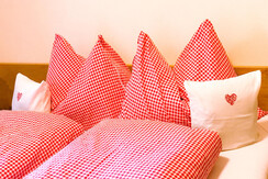 ferienwohnung_alpbachta_tirol_luggi_hechenblaikner