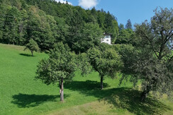 Riedhof_Brandenberg_Alpbachtal_WK_Balkon _Aussicht