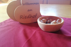 Riedhof_Brandenberg_Alpbachtal_WG_Deko