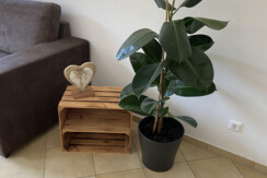 Riverside_Alpbachtal_Deko