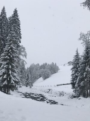 Winterstimmung | © Martin Reiter