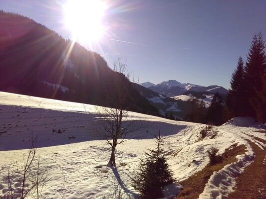 Silberbergalm | © Hausbichler