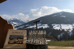 Alpbach Appartements