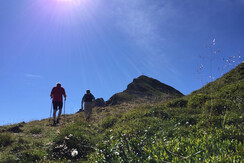 Wandern im Alpbachtal