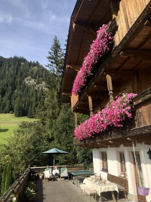 Blumen am Balkon | © Landhaus Hausberger